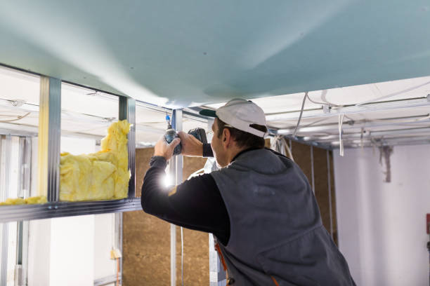 Best Specialized Insulation Services in , CT
