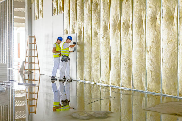 Best Eco-Friendly Insulation in , CT